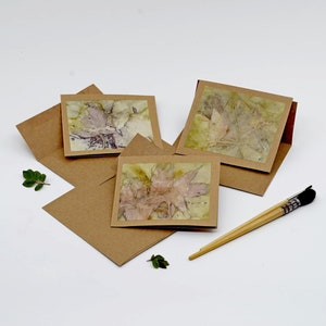 Lot de 3 cartes empreintes botaniques