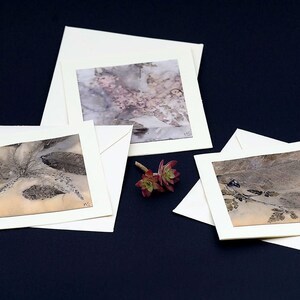 Lot de 3 cartes empreintes botaniques
