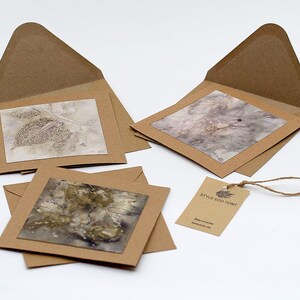 Set mit 3 Karten mit botanischem Druck