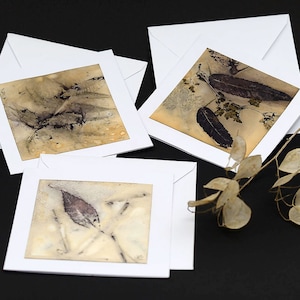 Lot de 3 cartes empreintes botaniques