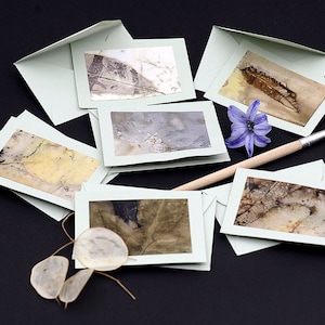 Set di 6 carte con stampe botaniche