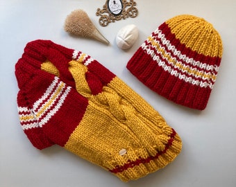 Yellow Red Knitted Wool Pet Sweater. Beanie for Its Owner, too.