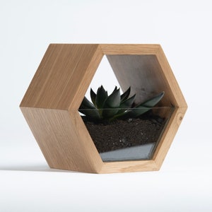 Zeshoekige glazen pot | houten pot | plantenbak voor vetplanten, plantenpot, minimalistische houten plantenbak, plantenbak voor interieur, plantenbak cadeau