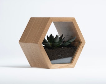 Hexagon glass pot | wood pot | planter for succulents, plant pot, minimalist wood planter, planter for interior, planter gift