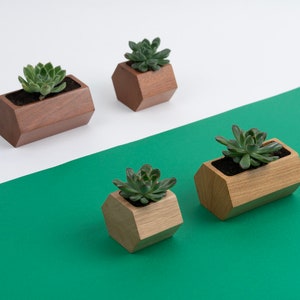 Hexagonal flower pot, 6x6 cm, made out of mahogany or oak wood image 5