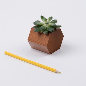 Hexagonal flower pot, 6x6 cm, made out of mahogany or oak wood image 1