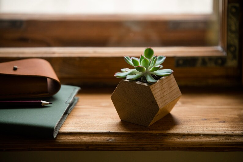 Hexagonal flower pot, 6x6 cm, made out of mahogany or oak wood image 4