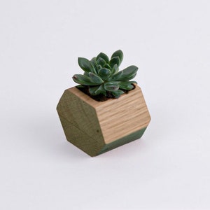 Hexagonal flower pot, 6x6 cm, made out of mahogany or oak wood image 2