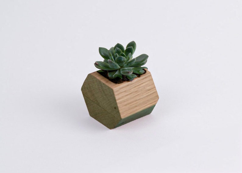 Hexagonal flower pot, 6x6 cm, made out of mahogany or oak wood image 2