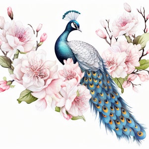 Peacock and Pink Flowers, Bundle of 5 PNG Files for Wall Art, Digital Prints, T-Shirt Designs, and Tumbler Sublimation image 5