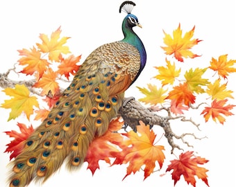 Peacock and Orange Leaves in Fall, Bundle of 5 PNG Files for Wall Art, Digital Prints, T-Shirt Designs, and Tumbler Sublimation