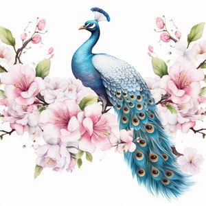 Peacock and Pink Flowers, Bundle of 5 PNG Files for Wall Art, Digital Prints, T-Shirt Designs, and Tumbler Sublimation image 2