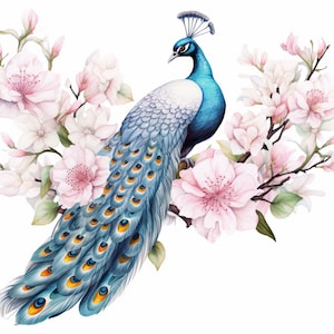 Peacock and Pink Flowers, Bundle of 5 PNG Files for Wall Art, Digital Prints, T-Shirt Designs, and Tumbler Sublimation image 1