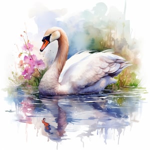 Graceful Swan Lake, Watercolor, Bundle of 5 PNG Files for Wall Art, Digital Prints, T-Shirt Designs, and Tumbler Sublimation