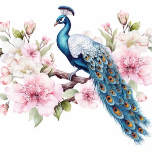 Peacock and Pink Flowers, Bundle of 5 PNG Files for Wall Art, Digital Prints, T-Shirt Designs, and Tumbler Sublimation image 4