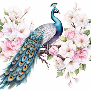 Peacock and Pink Flowers, Bundle of 5 PNG Files for Wall Art, Digital Prints, T-Shirt Designs, and Tumbler Sublimation image 3