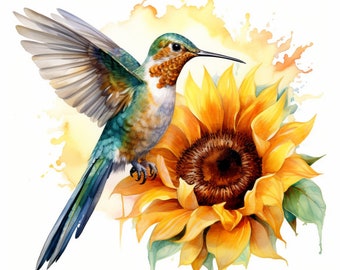 Watercolor Elegant Hummingbird and Sunflower, Bundle of 5 PNG Files for Wall Art, Digital Prints, T-Shirt Designs, and Tumbler Sublimation