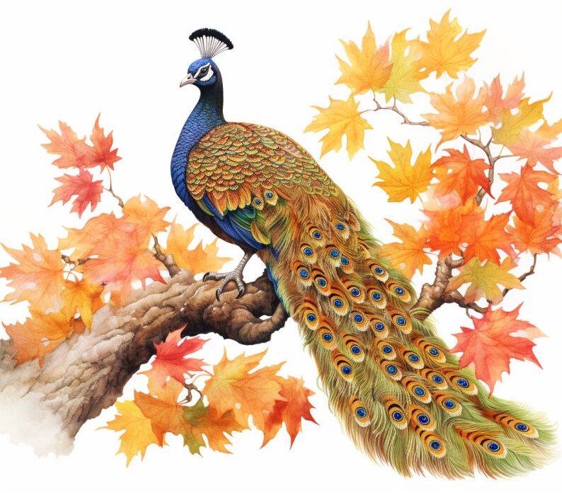 Peacock and Orange Leaves in Fall, Bundle of 5 PNG Files for Wall Art, Digital Prints, T-Shirt Designs, and Tumbler Sublimation image 2