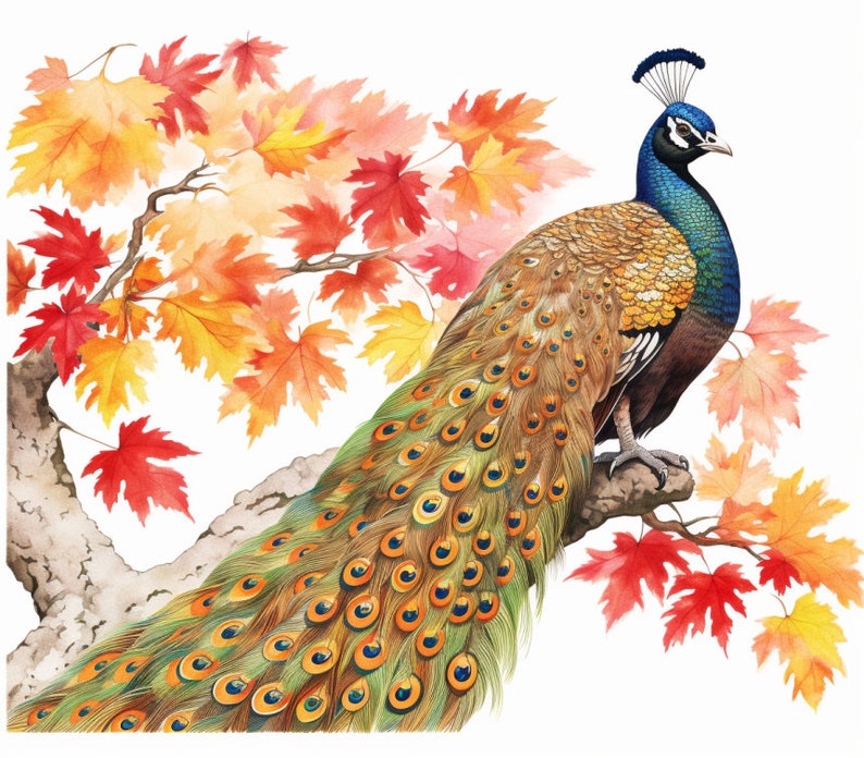 Peacock and Orange Leaves in Fall, Bundle of 5 PNG Files for Wall Art, Digital Prints, T-Shirt Designs, and Tumbler Sublimation image 5