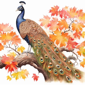 Peacock and Orange Leaves in Fall, Bundle of 5 PNG Files for Wall Art, Digital Prints, T-Shirt Designs, and Tumbler Sublimation image 4