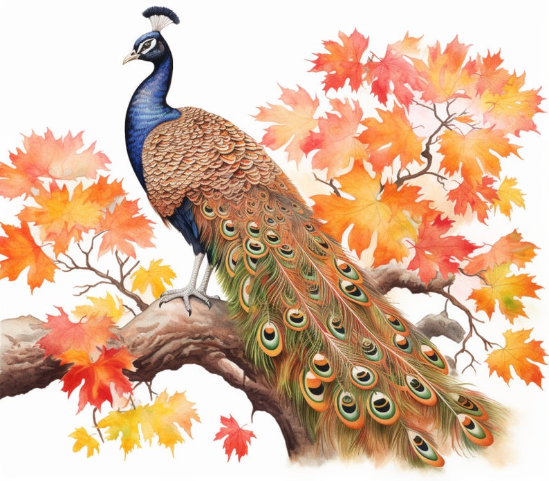 Peacock and Orange Leaves in Fall, Bundle of 5 PNG Files for Wall Art, Digital Prints, T-Shirt Designs, and Tumbler Sublimation image 4