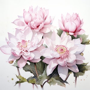 Pink Lotus Flowers, Zen Watercolor, Bundle of 5 PNG File for Wall Art, Digital Prints, T-Shirt Designs, and Tumbler Sublimation Warp image 3