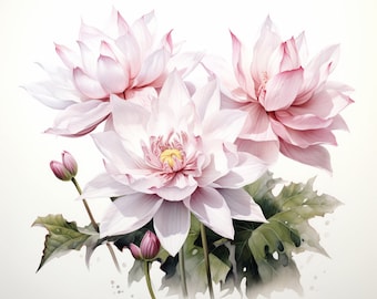 Pink Lotus Flowers, Zen Watercolor, Bundle of 5 PNG File for Wall Art, Digital Prints, T-Shirt Designs, and Tumbler Sublimation Warp