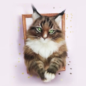Könnte beinhalten: Eine braune und weiße Maine Coon Katze mit grünen Augen ist in einem Holzrahmen posiert. Die Katze sitzt mit gekreuzten Pfoten und schaut direkt in die Kamera. Der Hintergrund ist hellrosa mit goldenen Sternen.