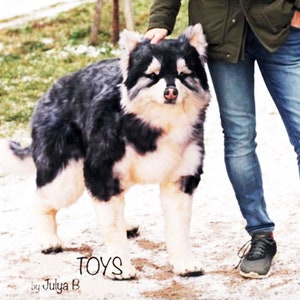 Riesiger Malamute Plushie, Plüschhund, 3D realistischer Hund, realistische Kunstpuppe, ausgestopfter Hund, gewichteter Plüsch, Hundeliebhaber Geschenk, Stofftier