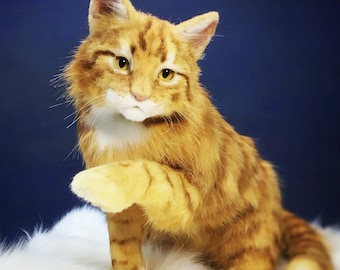 CUSTOM CAT Plush Toy, 3D Realistic Cat Plushie, Plush Toy, Gift for Her, Cat Lovers Gift, Cat Stuffed Animal, Cat Plush from Photos