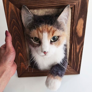 Könnte beinhalten: Eine dreifarbige Katze mit weißem Fell, braunen und orangen Flecken und grünen Augen ist in einem Holzrahmen gerahmt. Der Kopf und die Pfote der Katze ragen aus dem Rahmen.