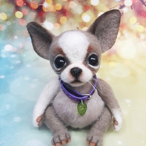 Buy chiwawa on sale