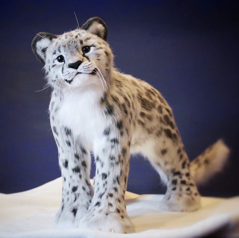 May include: A white and gray plush snow leopard toy with black spots. The toy is standing on a white surface and has a fluffy tail.