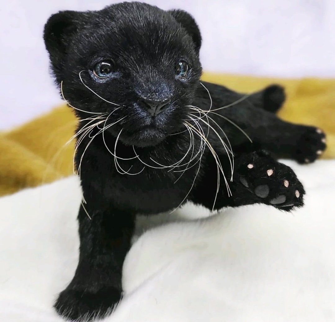 BLACK PANTHER Cub Plush Toy, Stuffed Toy Tiger, Custom Plush Toy, Cat ...