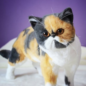 May include: A calico cat with black, orange, and white fur. The cat has a flat face and large, round eyes. The cat is looking directly at the camera with a serious expression.