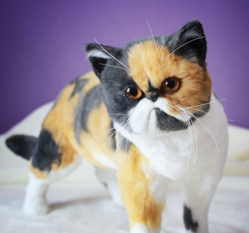 May include: A calico cat with black, orange, and white fur. The cat has a flat face and large, round eyes. The cat is looking directly at the camera with a serious expression.
