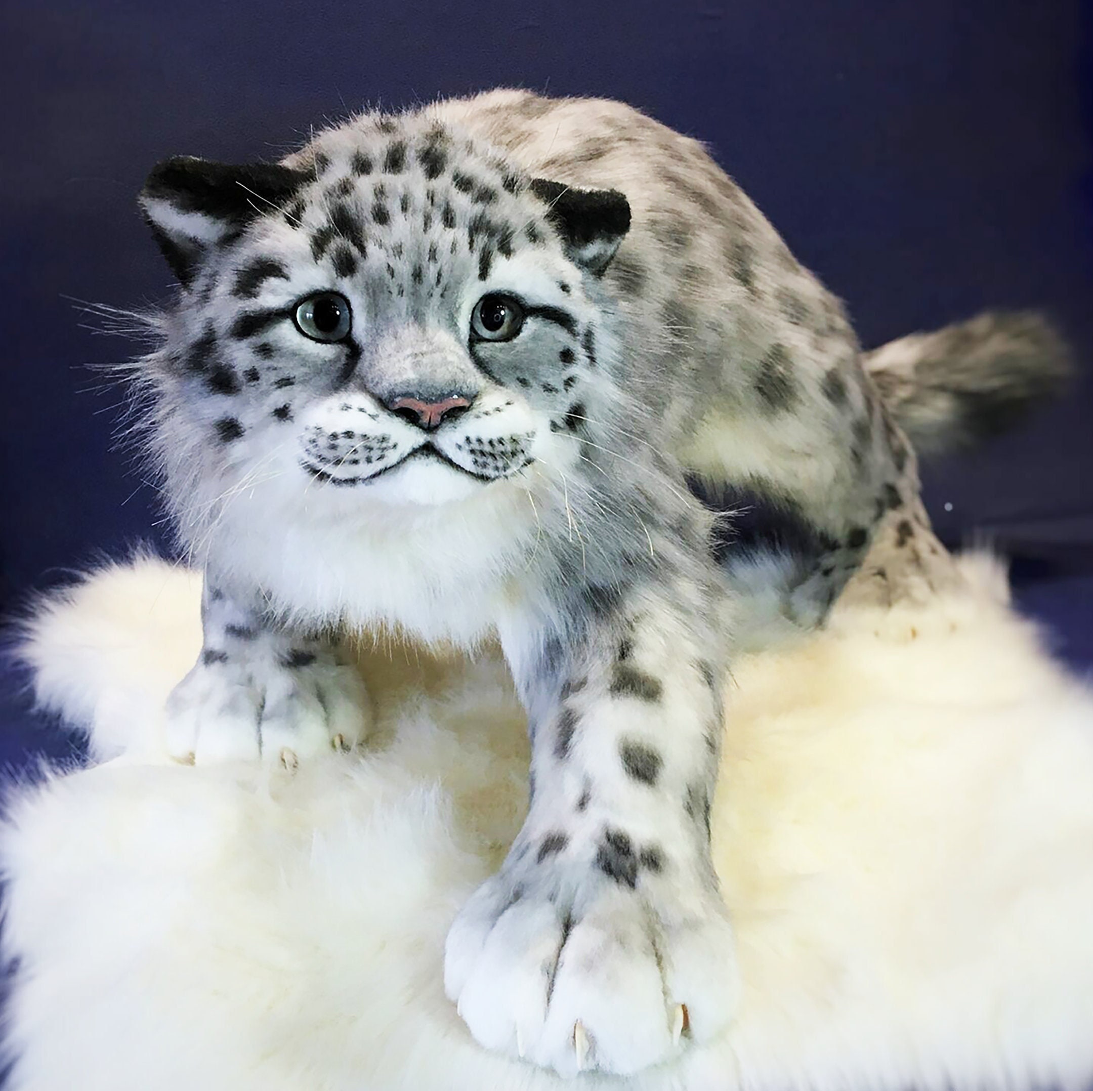  Girls' Leggings Snow Leopard Jaguar White Leopard