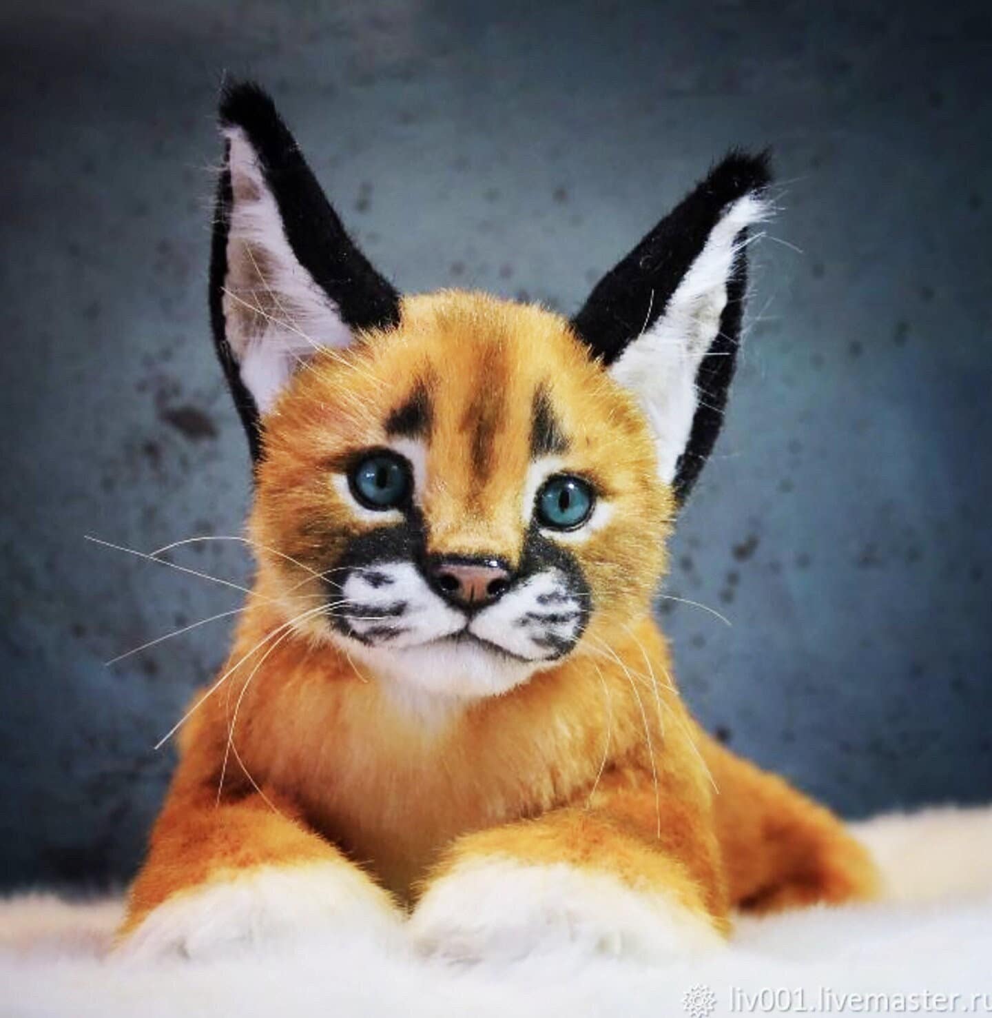 Big Floppa Caracal Big Cat Meme Funny Modern Subversive 