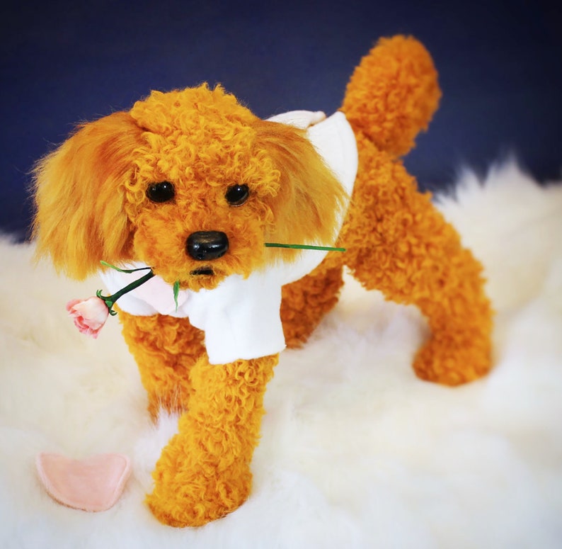 May include: A plush toy poodle wearing a white shirt and holding a pink rose in its mouth. The poodle is standing on a white fluffy surface.