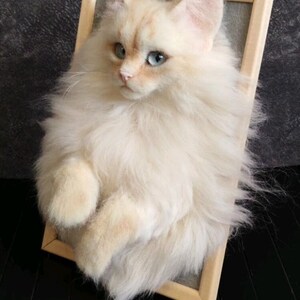 K&ouml;nnte beinhalten: Skulptur einer cremefarbenen Katze mit blauen Augen, die aus einer Holzrahmenleinwand zu kommen scheint. Das Fell der Katze ist lang und strukturiert, mit einem realistischen Aussehen. Das Kunstwerk ist vor einem dunklen Hintergrund platziert.