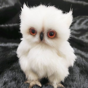 WISE BABY OWL Needle Felted Handmade Collectible Owl Good - Etsy