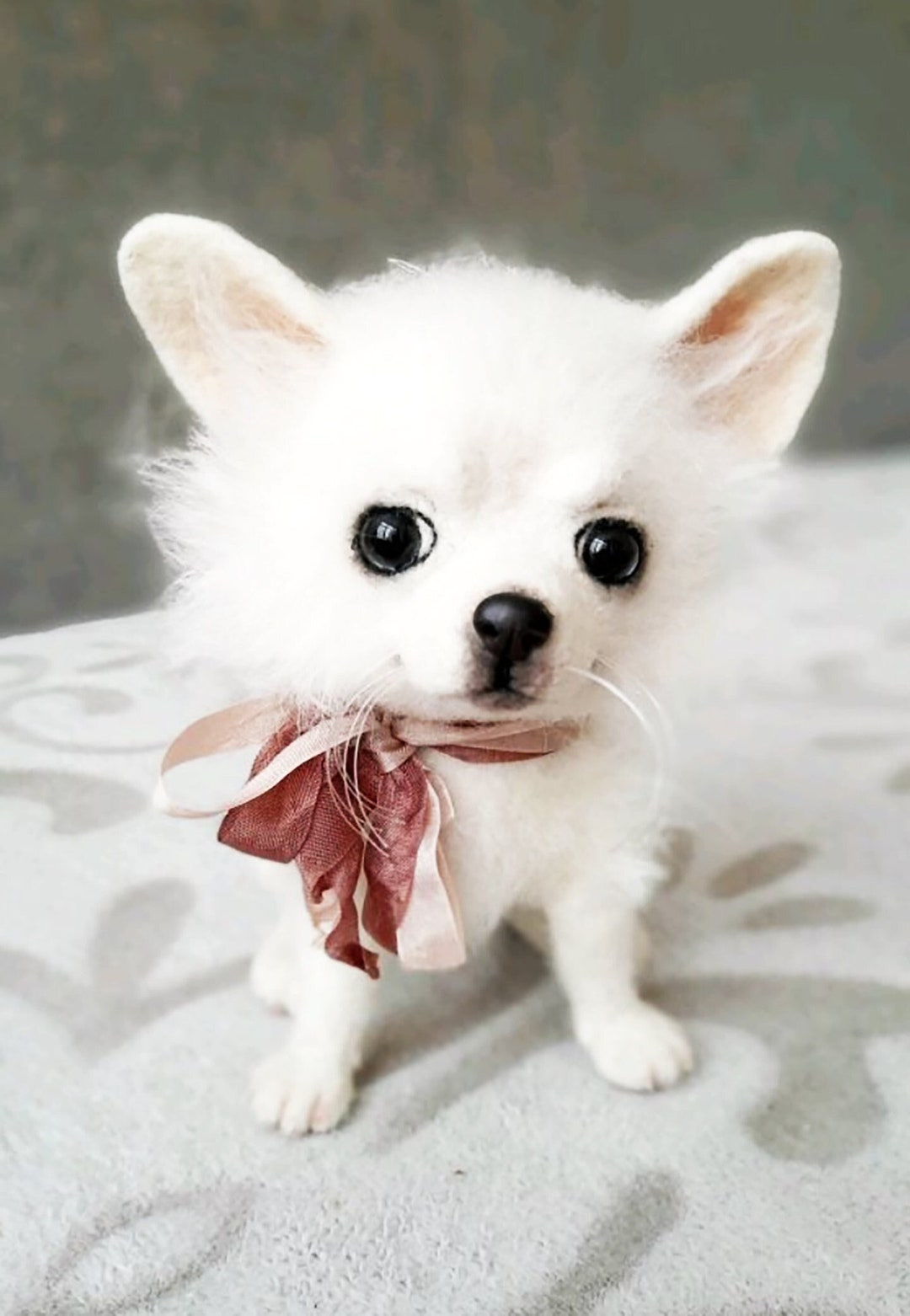Chihiro様専用BELLA✨Chouchou - Large / White