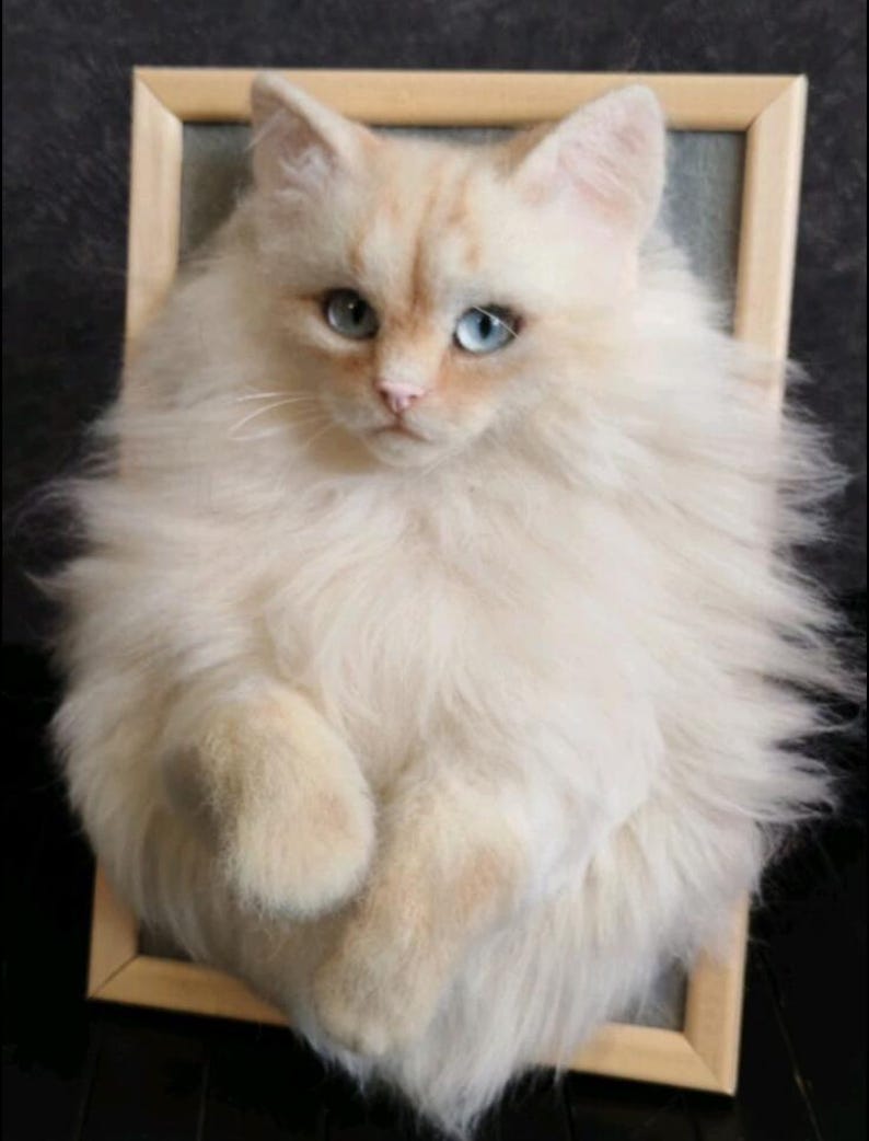 K&ouml;nnte beinhalten: Eine cremefarbene Katze mit leuchtend blauen Augen, eingerahmt in einem hellen Holzrechteck. Die Katze hat langes, flauschiges Fell, das ihr ein weiches Aussehen verleiht. Die Katze ist so positioniert, als w&uuml;rde sie aus dem Rahmen auftauchen.