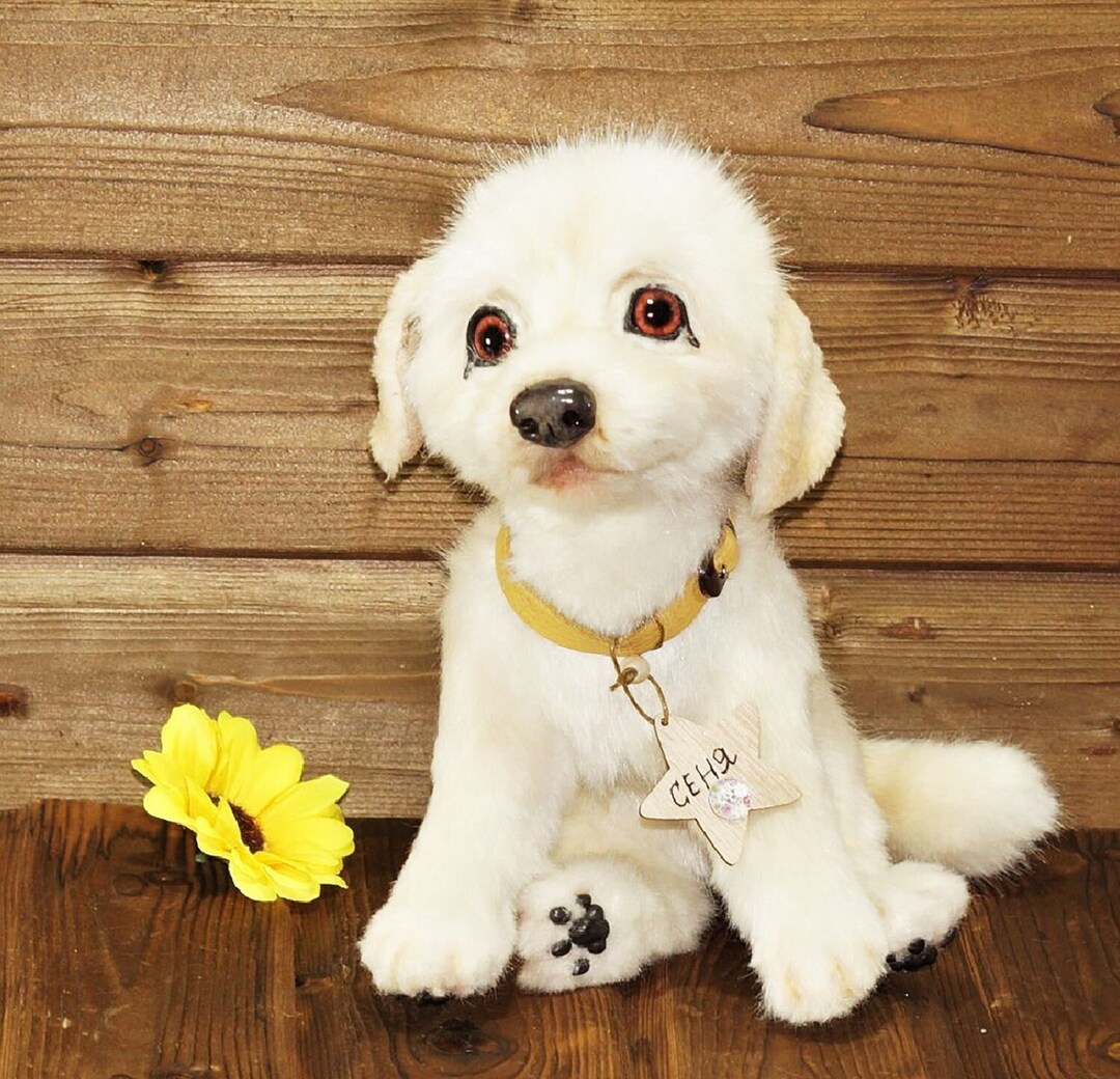 Labrador Dog Plushie, Dog Plush Doll, Dog for Labrador Dog Lovers - Etsy