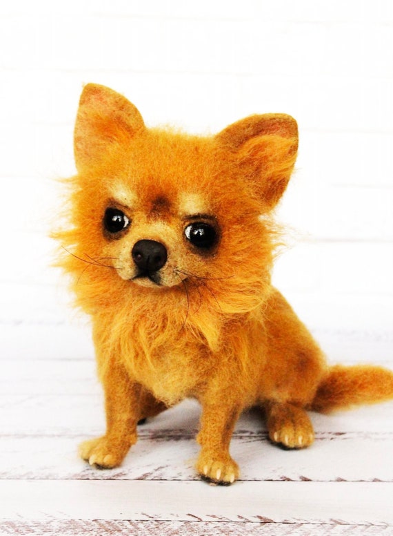 Buy chiwawa hotsell