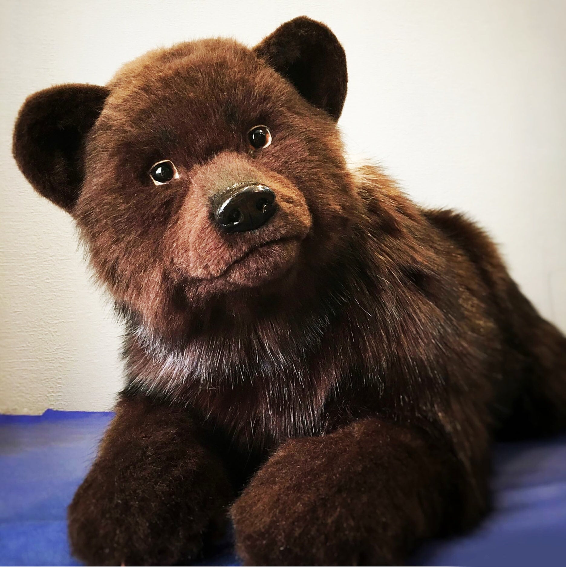 大きなぬいぐるみクマ、重さのあるぬいぐるみ、ぬいぐるみ、ぬいぐるみ