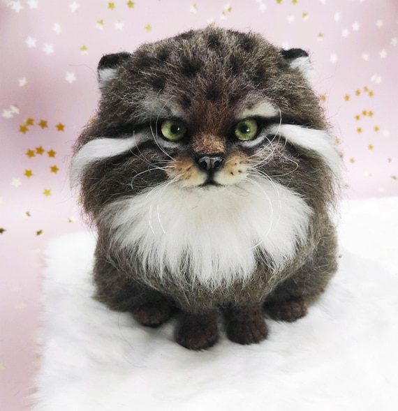 Pallas cat shop stuffed animal