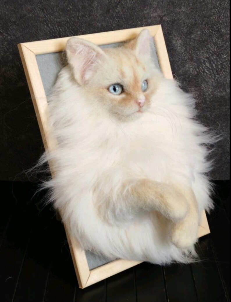 K&ouml;nnte beinhalten: Eine cremefarbene Katze mit blauen Augen, montiert in einem Holzrahmen. Das Fell der Katze ist lang und weich, mit einem hellbraunen Farbton um die Ohren und die Nase. Der Rahmen hat einen grauen Hintergrund.