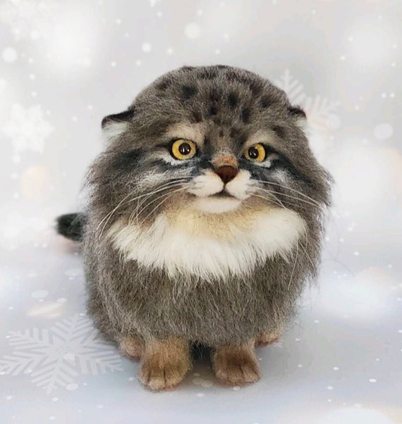 MANUL Pallas es Nadelgefilzte Katze Pallas Katze Nadelfilz - Etsy Österreich