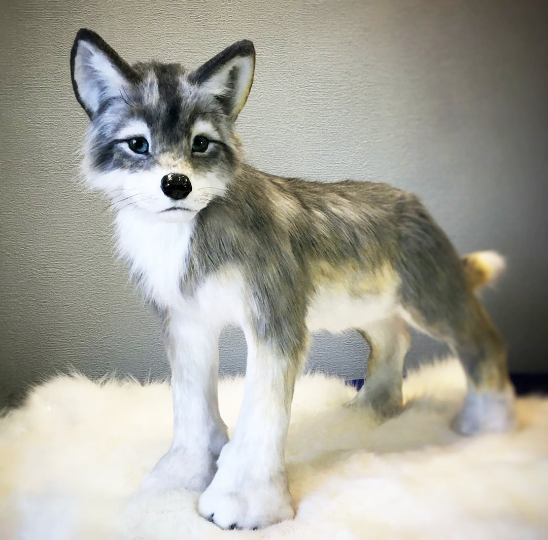 BIG WOLF CUB Plushie, Wolf Cub Stuffed Animal, 3D Realistic Wolf, Realistic Stuff Animal, Wolf